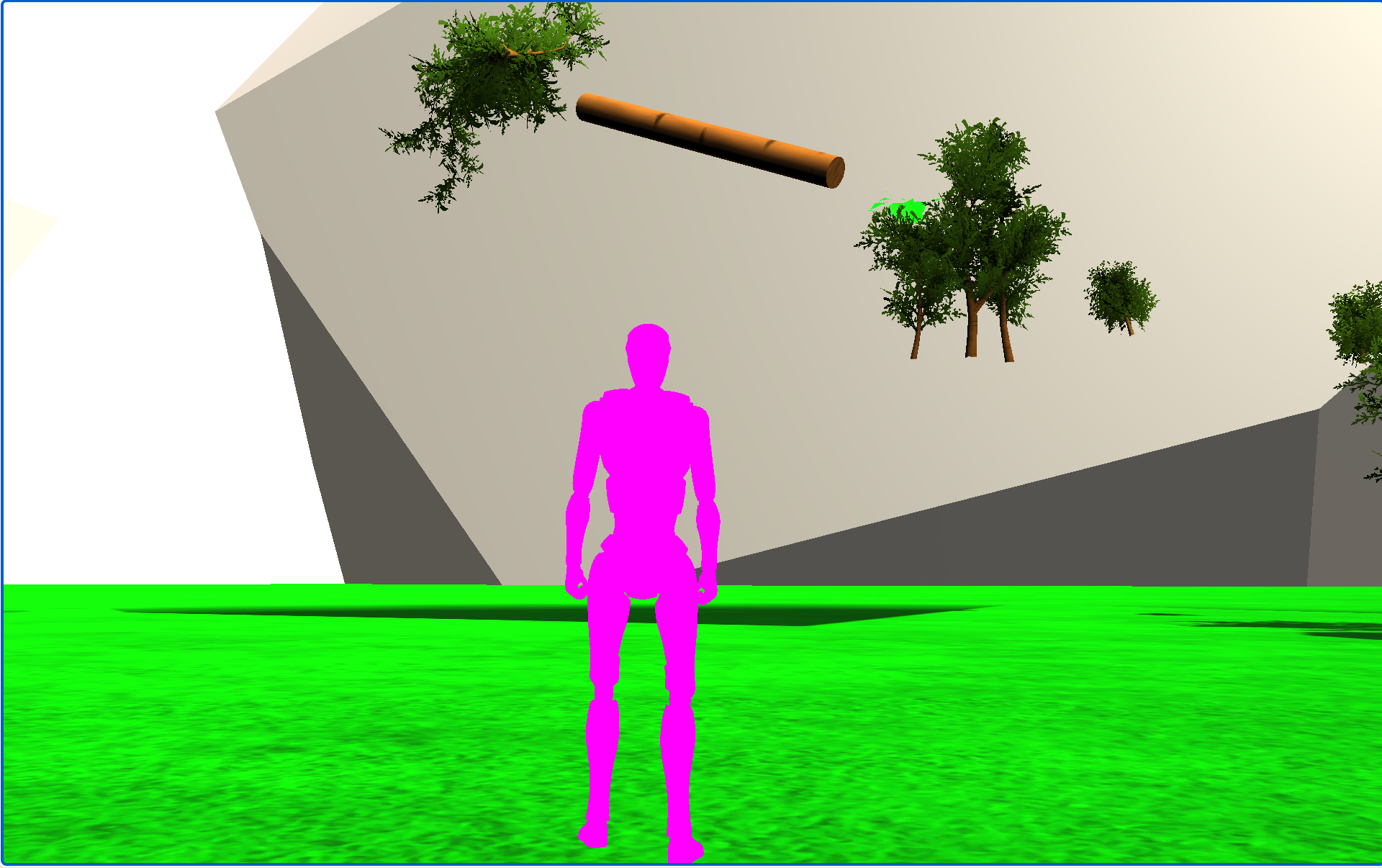 Forest